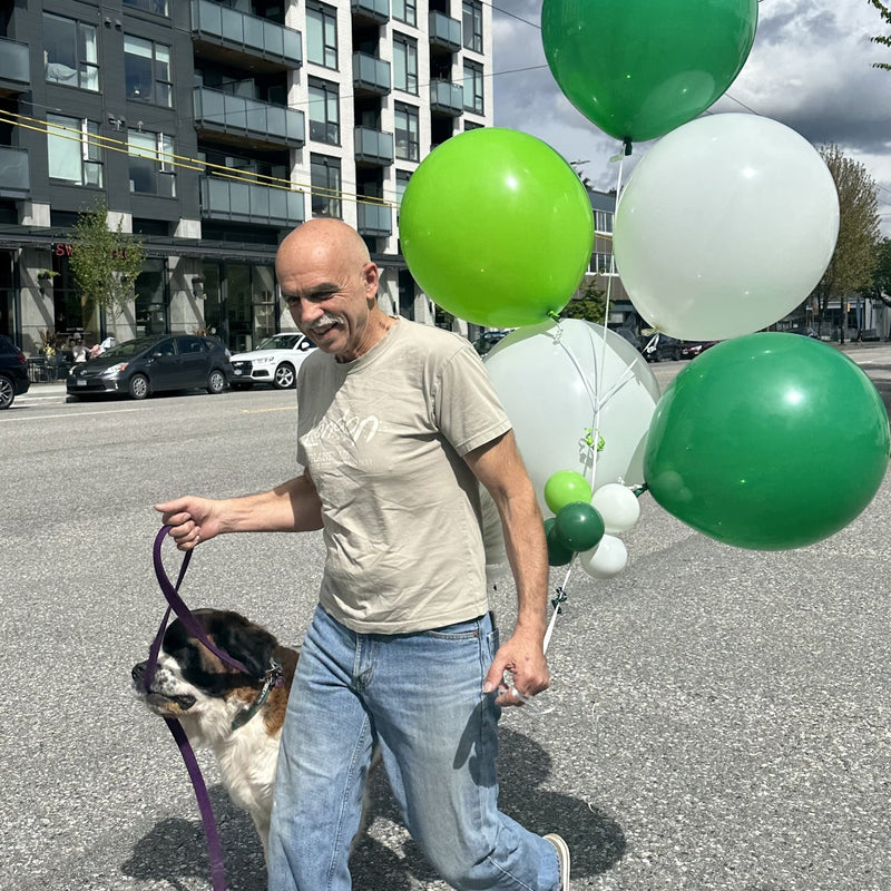 Man walking st bernard with green round balloons19