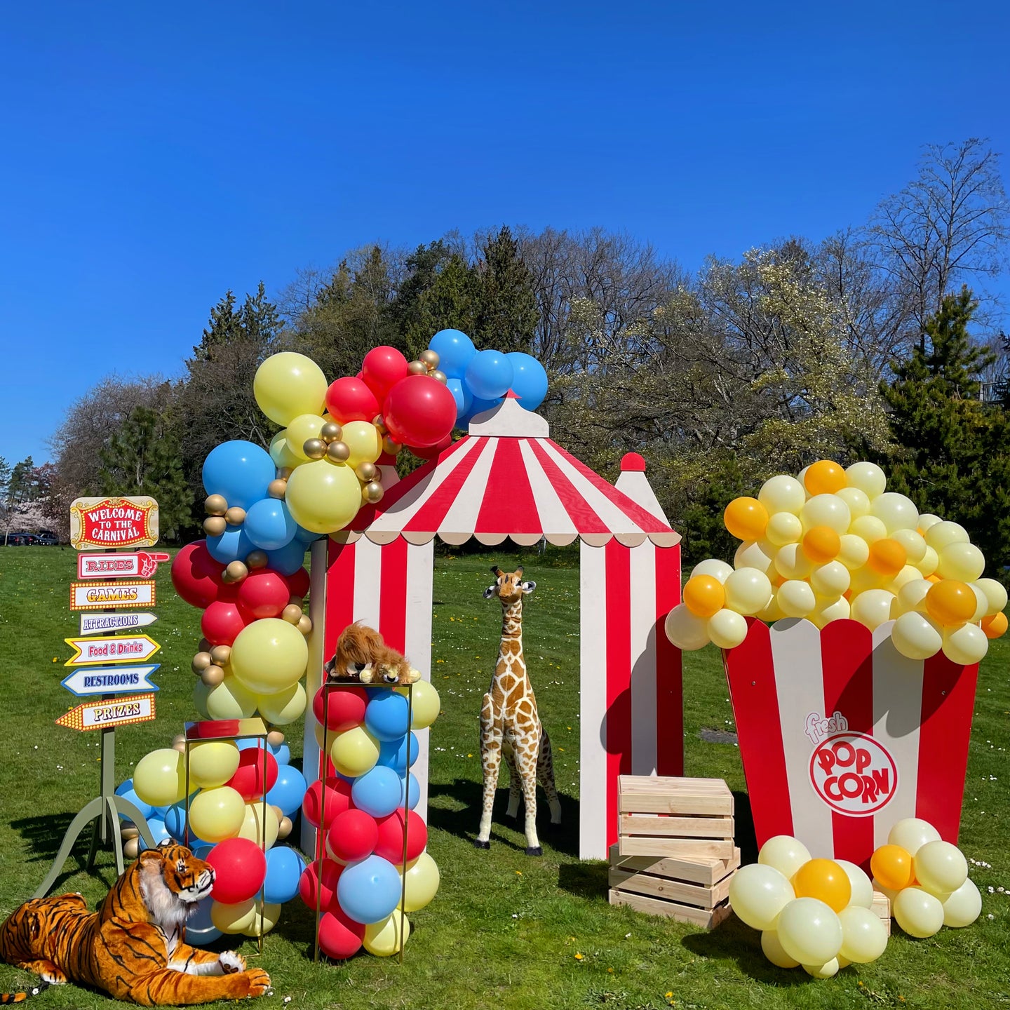 Carnival Party Balloon Arch