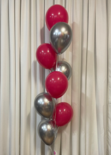 Load image into Gallery viewer, wild berry and silver balloon
