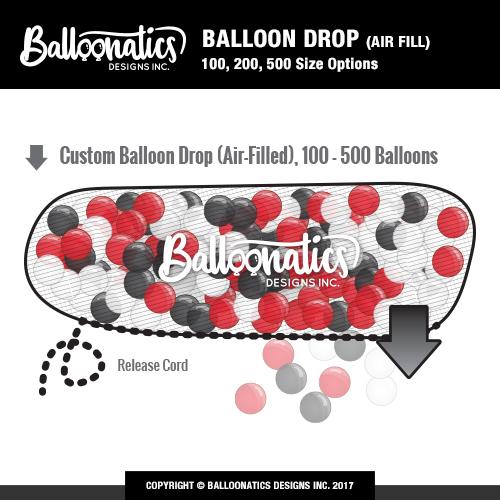 Balloon Drop Net  Balloon drop, Balloons, Drop
